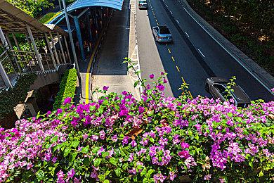 PS2经典和风恋爱名作《红线》HD复刻 2023年登PC＆Switch